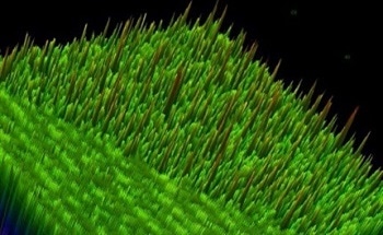 Imaging Damaged Optical Media Using Digital Laser Microscopy