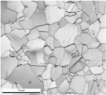 Properties of Twinning-Induced Plasticity (TWIP) Steel