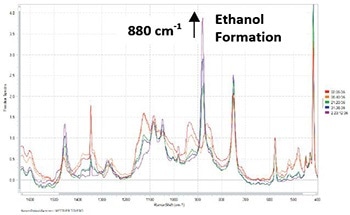 Analysis of a Batch Fermentation Process Using Raman-Rxn2™1000 from Kaiser Optical Systems