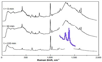 Using Kaiser’s RamanRxn2™ Analyzer to Monitor Emulsion Polymerization Reactions