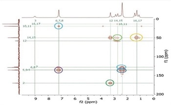 An Introduction to NMR on Lidocaine Molecules