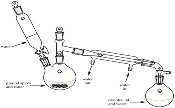 Extracting Essential Oils from Spices Using Steam Distillation