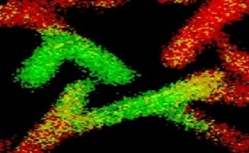 X-Ray Photoelectron Spectroscopy for Medical Textile Analysis