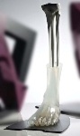 AAOS Bone Models for Demonstrating the Key Stages of the Surgical Procedure for Contemporary Total Knee Arthroplasty