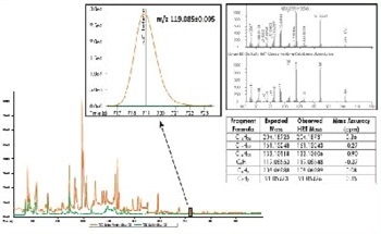 Olive Oil Analysis with Gas Chromatography and Mass Spectrometry