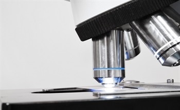 Using Light Microscopy Techniques for Analysis of Historical and Cultural Artifacts