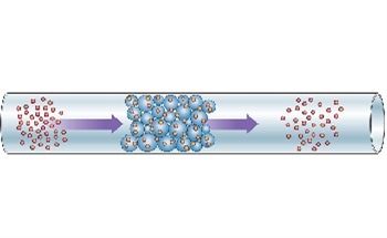 Powder Characterisation Using Inverse Gas Chromatography (iGC)