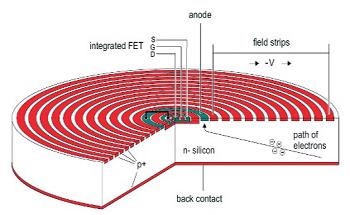 An Introduction to Silicon Drift Detectors