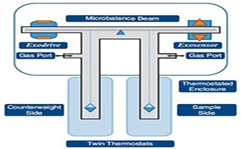 Measuring the Sorption of Hydrogen, Methane and Sulfur Dioxide using the XEMIS Microbalance