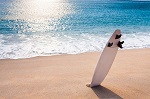 Materials Used in Surfboards