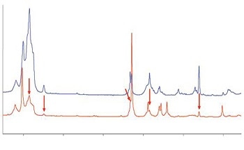 Using Raman Spectroscopy to Assist in the REACH Registration of Gases