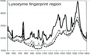 Using Raman Spectroscopy to Monitor Protein Batch Crystallization