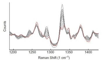 Using Raman Spectroscopy to Monitor the Composition of Active Coatings