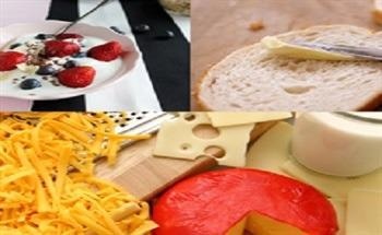 Food Texture Testing of Dairy Products