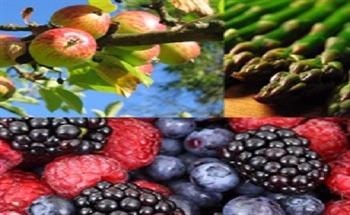 Food Texture Testing in the Fruit and Vegetable Sector