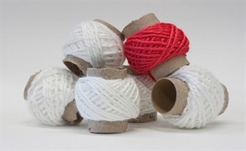 Creating Biocompatible Yarn from Animal By-Products