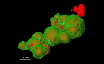 Materials Analysis with Nanoscale Precision Using EDS