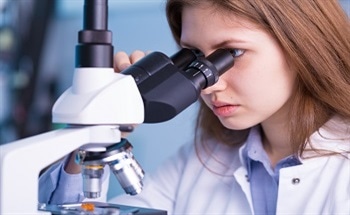 Selecting the Correct Analysis Method for Your Materials Sample