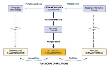 The Relationships Between Surface Topographies and their Processing and Performance