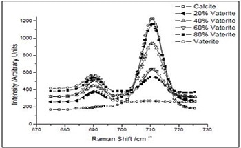 Monitoring the Polymorph Formation of CaCO3 in the Presence of Polymeric Additives