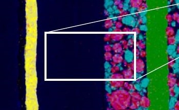 Multi-Modal SEM and Raman Imaging of Lithium Ion Batteries