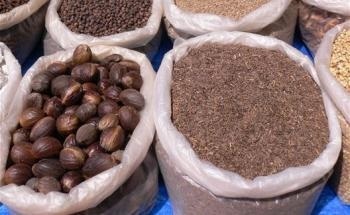 Detection of Off-Odors and Aroma Profiling