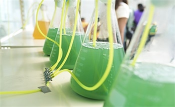 Creating Chemicals Using Algal Residues as a Carbon Source