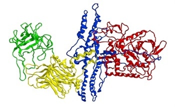 Using UV Microscopy to Identify and Locate Growing Protein Crystals