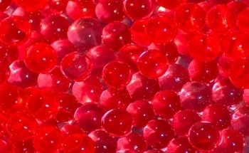 Liquid Crystal Polymers
