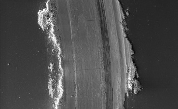 Tribological Testing of Hard Coatings for Cutting Tools