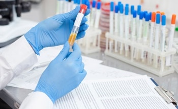 Addressing the Challenges When Accessing Scientific Data