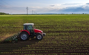 Spectroscopy in Agriculture – Managing Crops and Assessing Food Quality