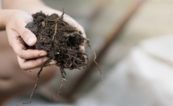 Creating a Molecular Picture of Mineral-Soil Interactions