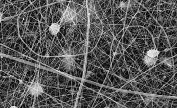 How Scanning Electron Microscopes Work