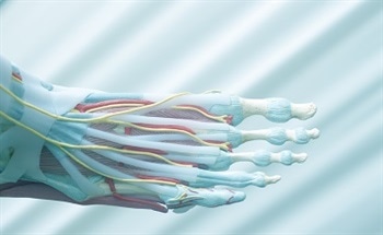 Nanofiber Hydrogel Mimics Human Cartilage