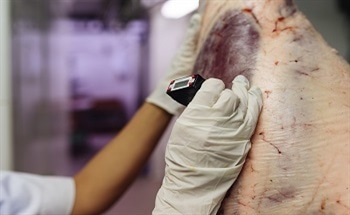 New Technique to Detect Adulteration of Meat