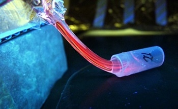 New Printing Technique Recreates Complex Chemical Environments