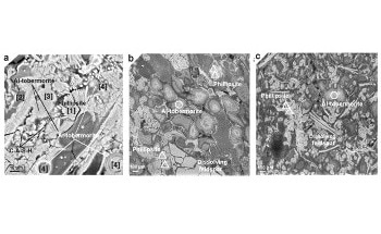 Studying Ancient Roman Concrete with Scanning Electron Microscopy