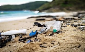 Characterizing Microplastics with Raman Imaging Spectroscopy