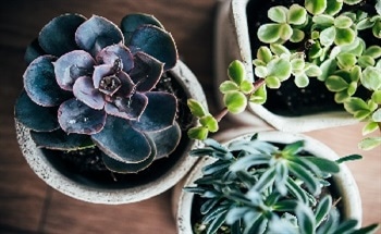 The Environmental Applications of Technical Ceramics