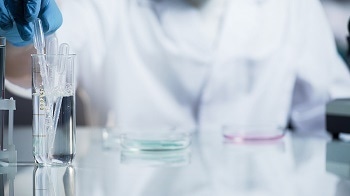 The Properties of Organic Rheology Modifiers