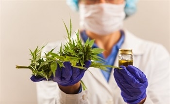 Lab Techniques for Cannabis Analysis