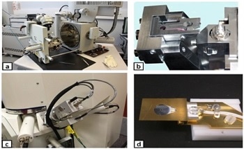 Improve Image Quality of Serial Block-Face Scanning Electron Microscopy