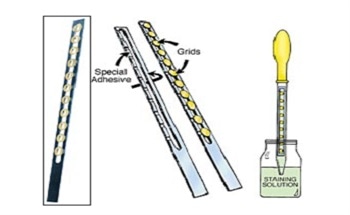 Specially Formulated Pressure Sensitive Adhesives - How to Use Them