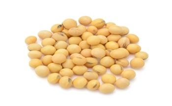 How Plastics are Derived from Soybeans