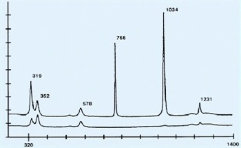 Diffusion Measurement at a Microscopic Level