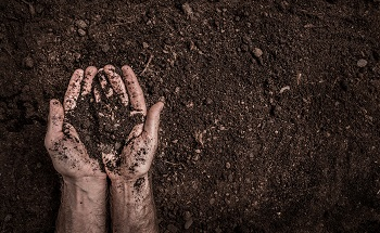 Using ICP-AES for Quantitative Analysis of Soil Extracts