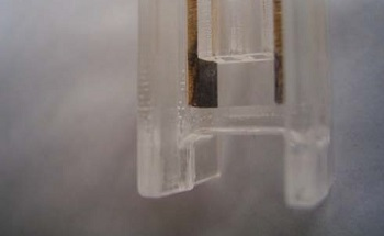 Facilitating the Measurement of Zeta Potential in Proteins