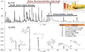 Benchtop GC-TOFMS for Metabolomic Profiling of Rice and Corn Extracts