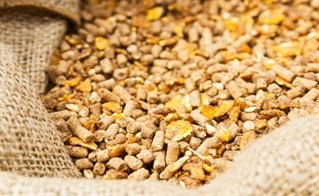 Loss-on-Drying Technique for the Determination of Moisture in Feed